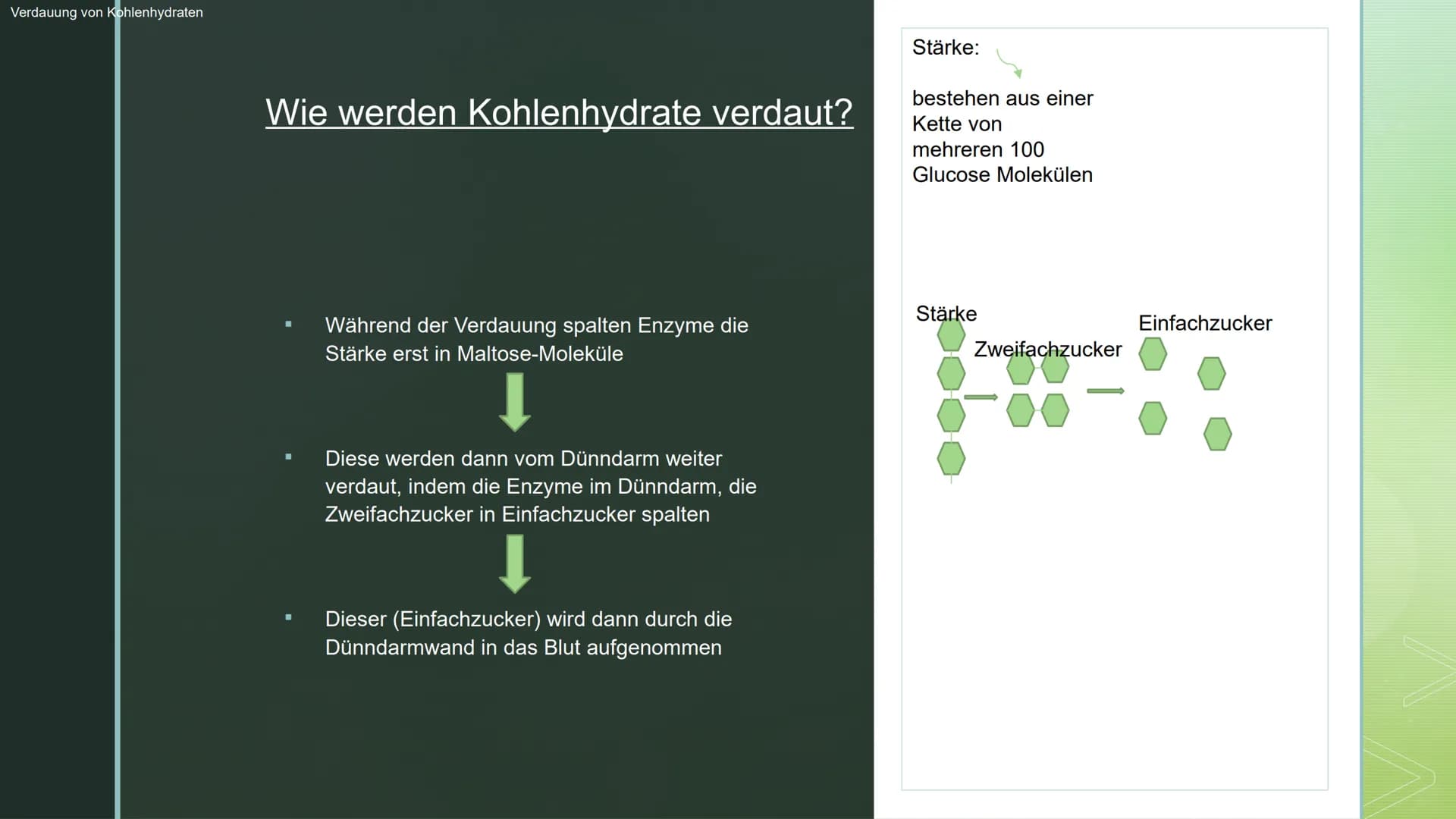 Biologie:
Verdauung ■
Gliederung:
Verdauung:
► Aufbau des Verdauungssystems
➤ Verdauung von Kohlenhydraten
➤ Enzyme Oben links in der Ecke s