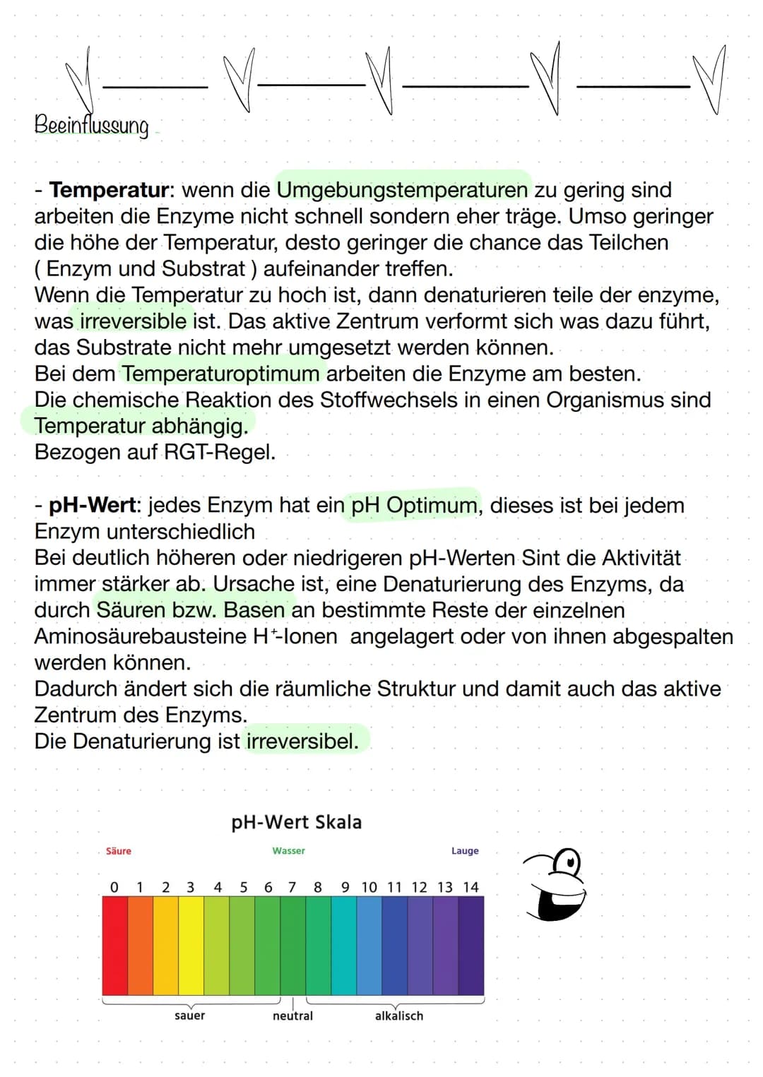 BIOLOGIE
Biokatalysatoren
(katalysieren = beschleunigen).
Enzyme bzw. Proteine beschleunigen chemische Reaktionen.
senken die Aktivierungsen