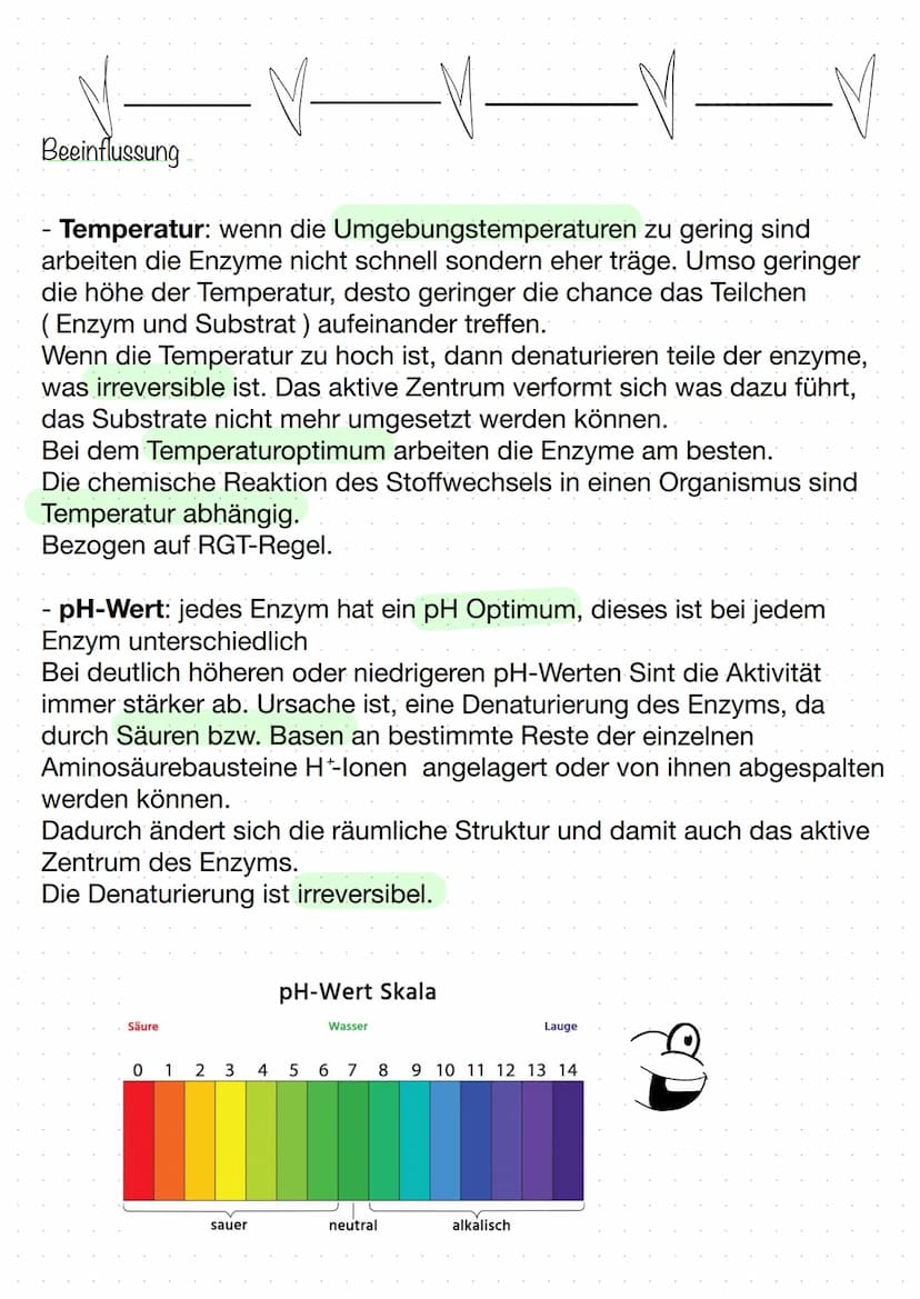 BIOLOGIE
Biokatalysatoren
(katalysieren = beschleunigen).
Enzyme bzw. Proteine beschleunigen chemische Reaktionen.
senken die Aktivierungsen