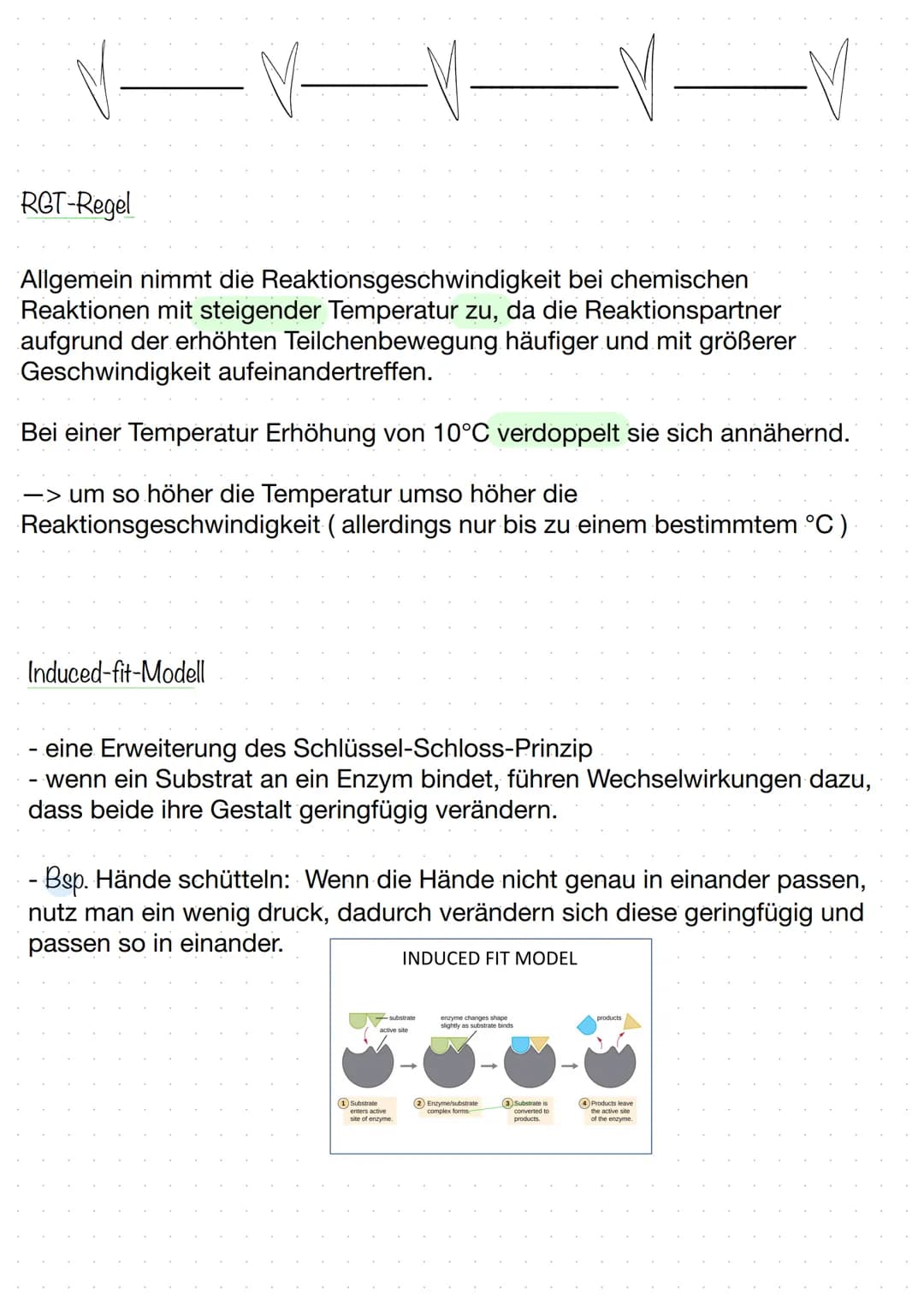 BIOLOGIE
Biokatalysatoren
(katalysieren = beschleunigen).
Enzyme bzw. Proteine beschleunigen chemische Reaktionen.
senken die Aktivierungsen