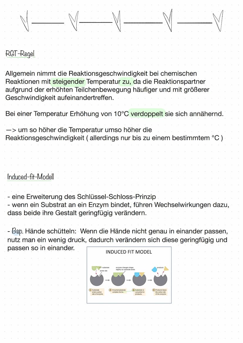 BIOLOGIE
Biokatalysatoren
(katalysieren = beschleunigen).
Enzyme bzw. Proteine beschleunigen chemische Reaktionen.
senken die Aktivierungsen