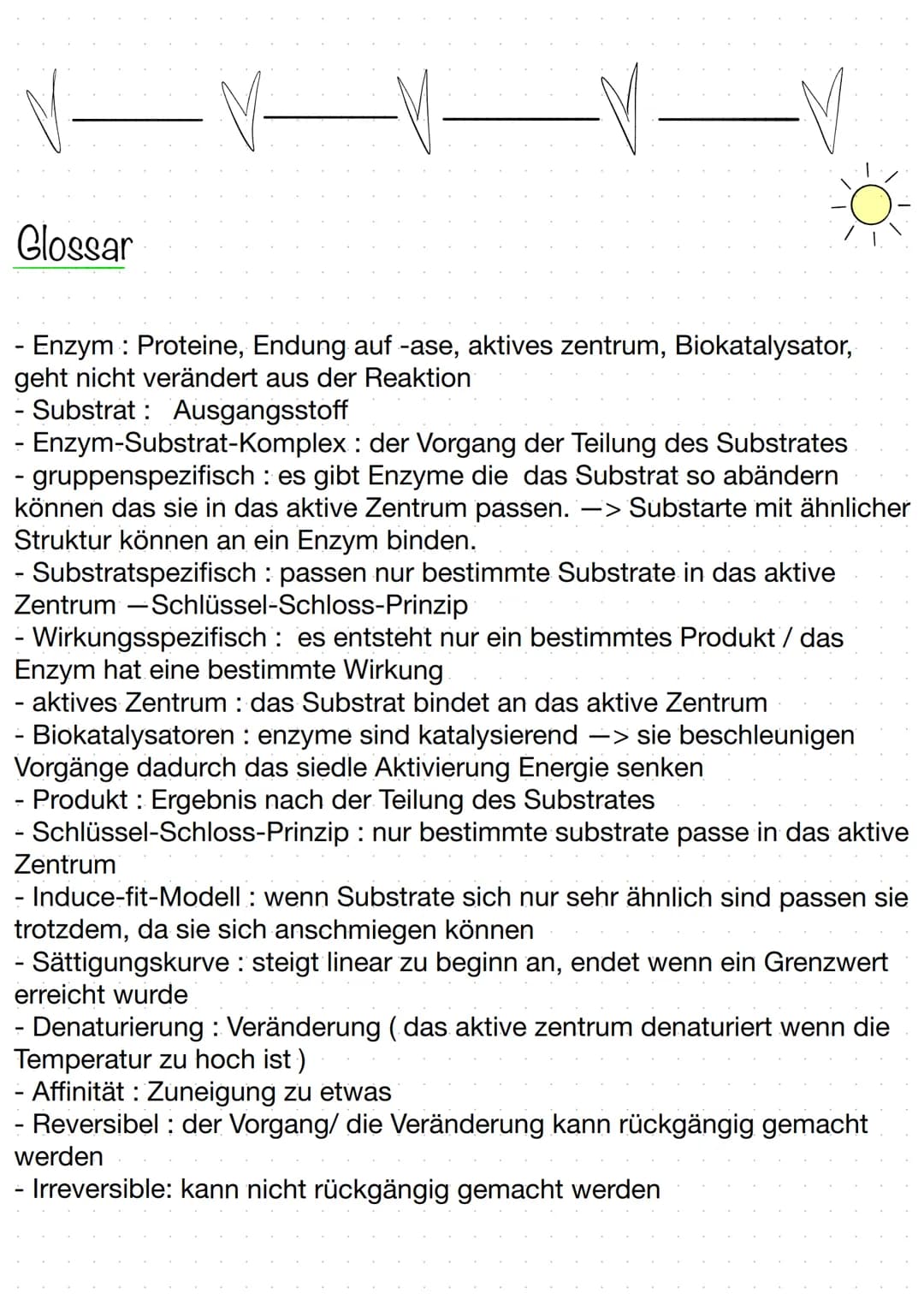 BIOLOGIE
Biokatalysatoren
(katalysieren = beschleunigen).
Enzyme bzw. Proteine beschleunigen chemische Reaktionen.
senken die Aktivierungsen