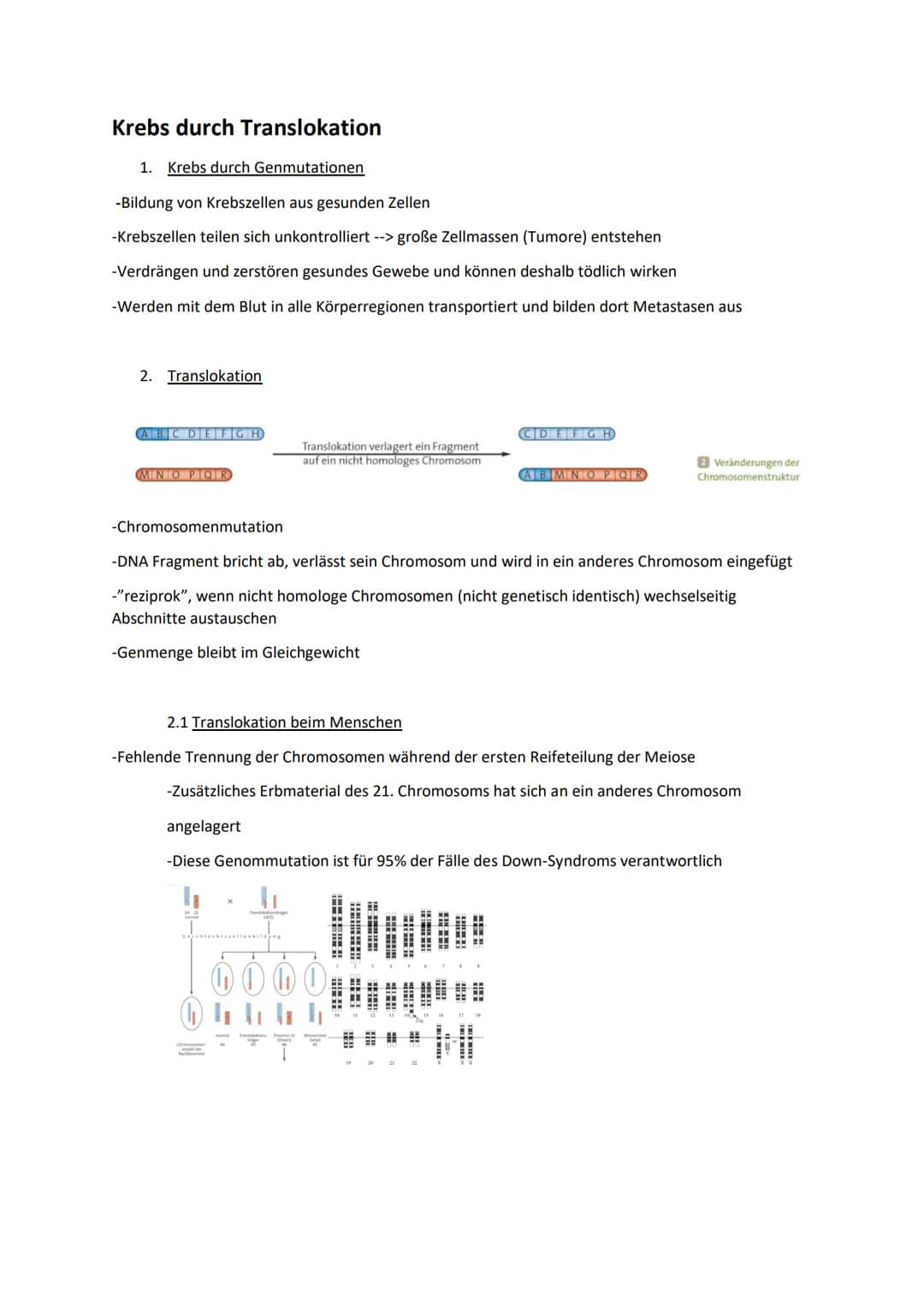 Krebs durch Translokation
1. Krebs durch Genmutationen
-Bildung von Krebszellen aus gesunden Zellen
-Krebszellen teilen sich unkontrolliert 