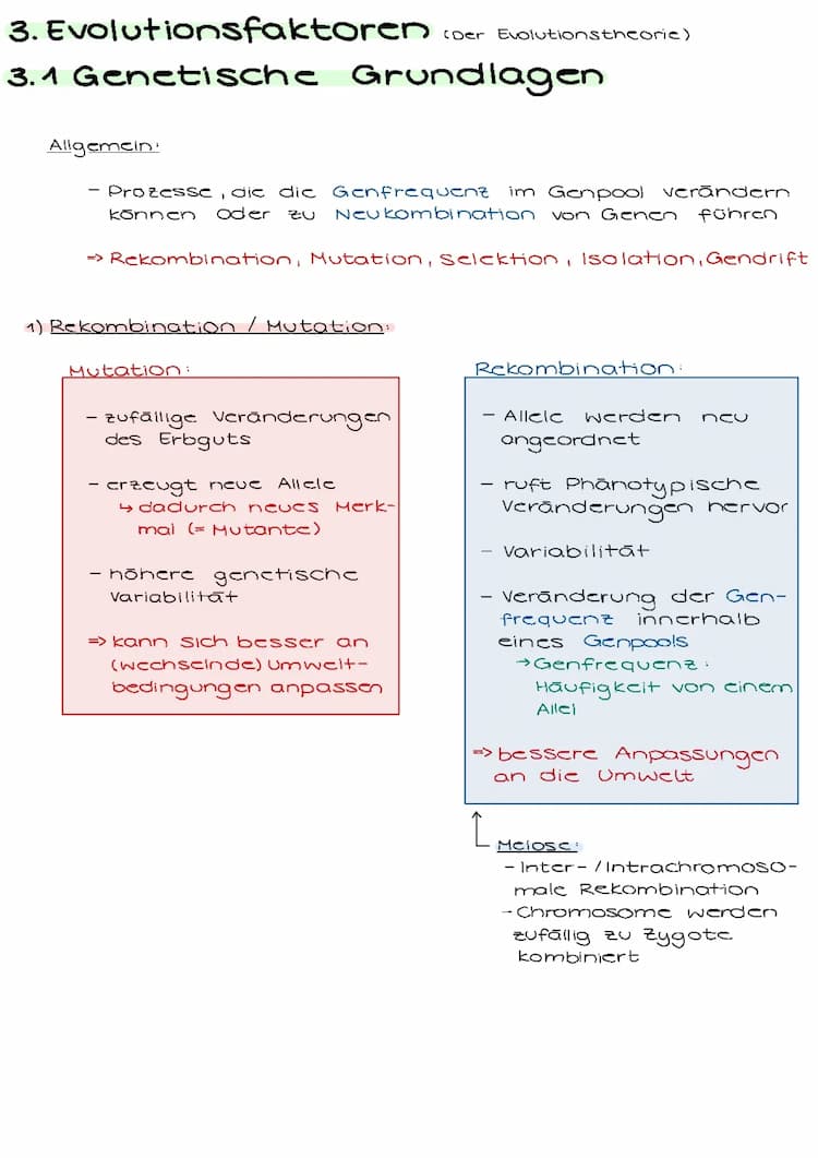 Know Evolutionsfaktoren thumbnail