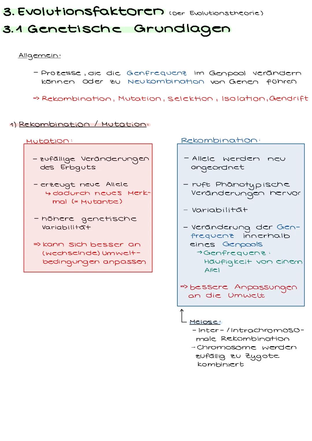 Evolutionsfaktoren