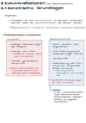 Know Evolutionsfaktoren thumbnail