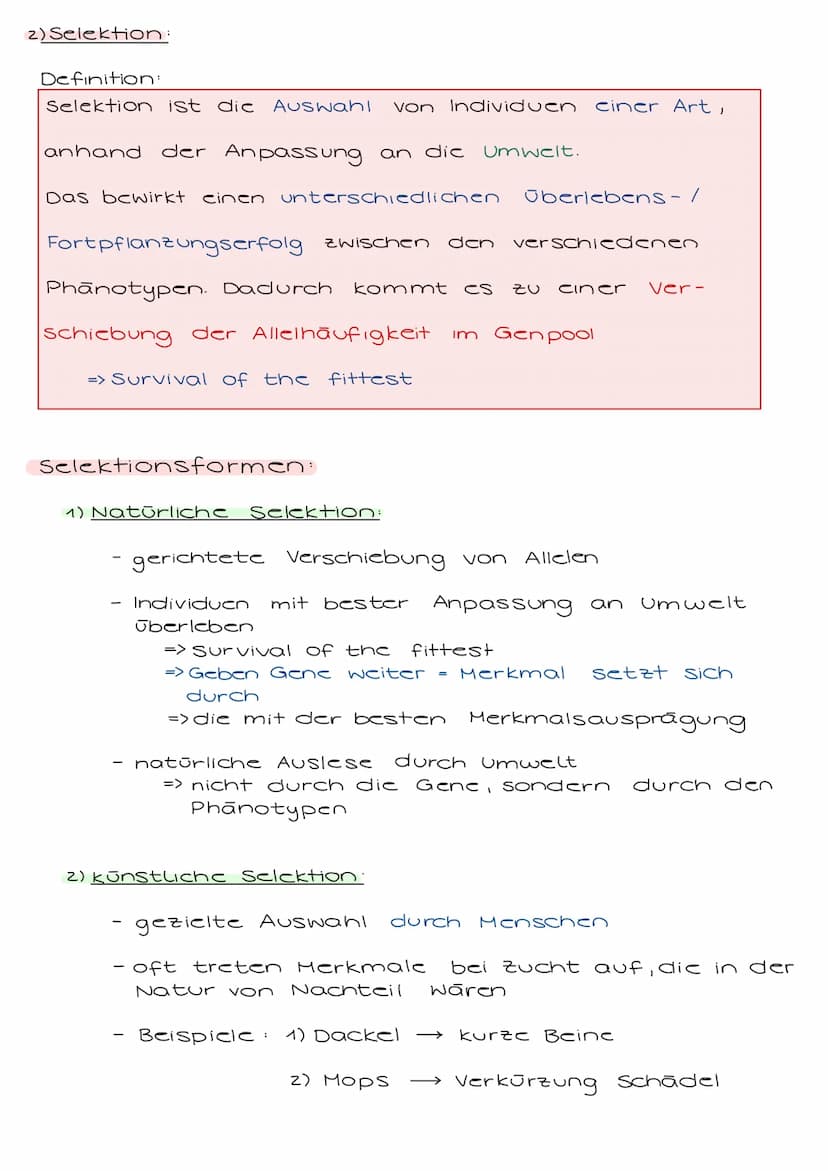 3. Evolutionsfaktoren (Der Evolutionstheorie)
3.1 Genetische Grundlagen
Allgemein:
-
Prozesse, die die Genfrequenz im Genpool verändern
könn