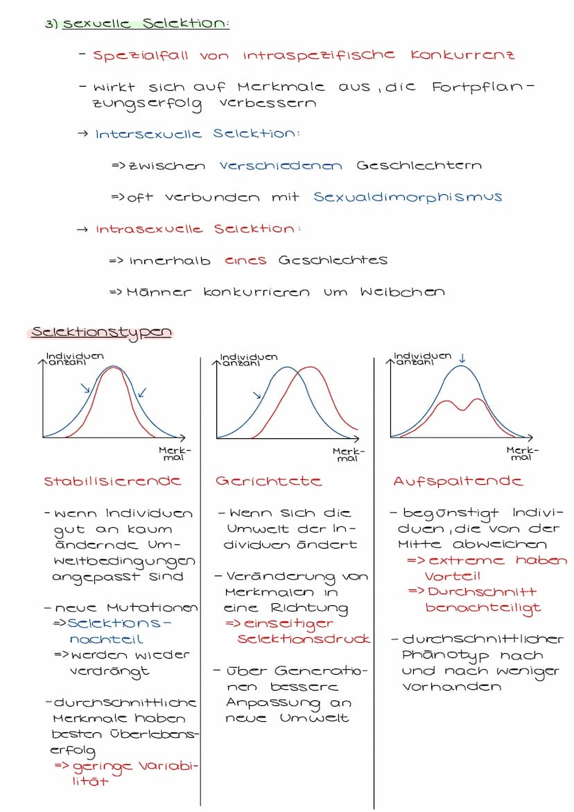 3. Evolutionsfaktoren (Der Evolutionstheorie)
3.1 Genetische Grundlagen
Allgemein:
-
Prozesse, die die Genfrequenz im Genpool verändern
könn