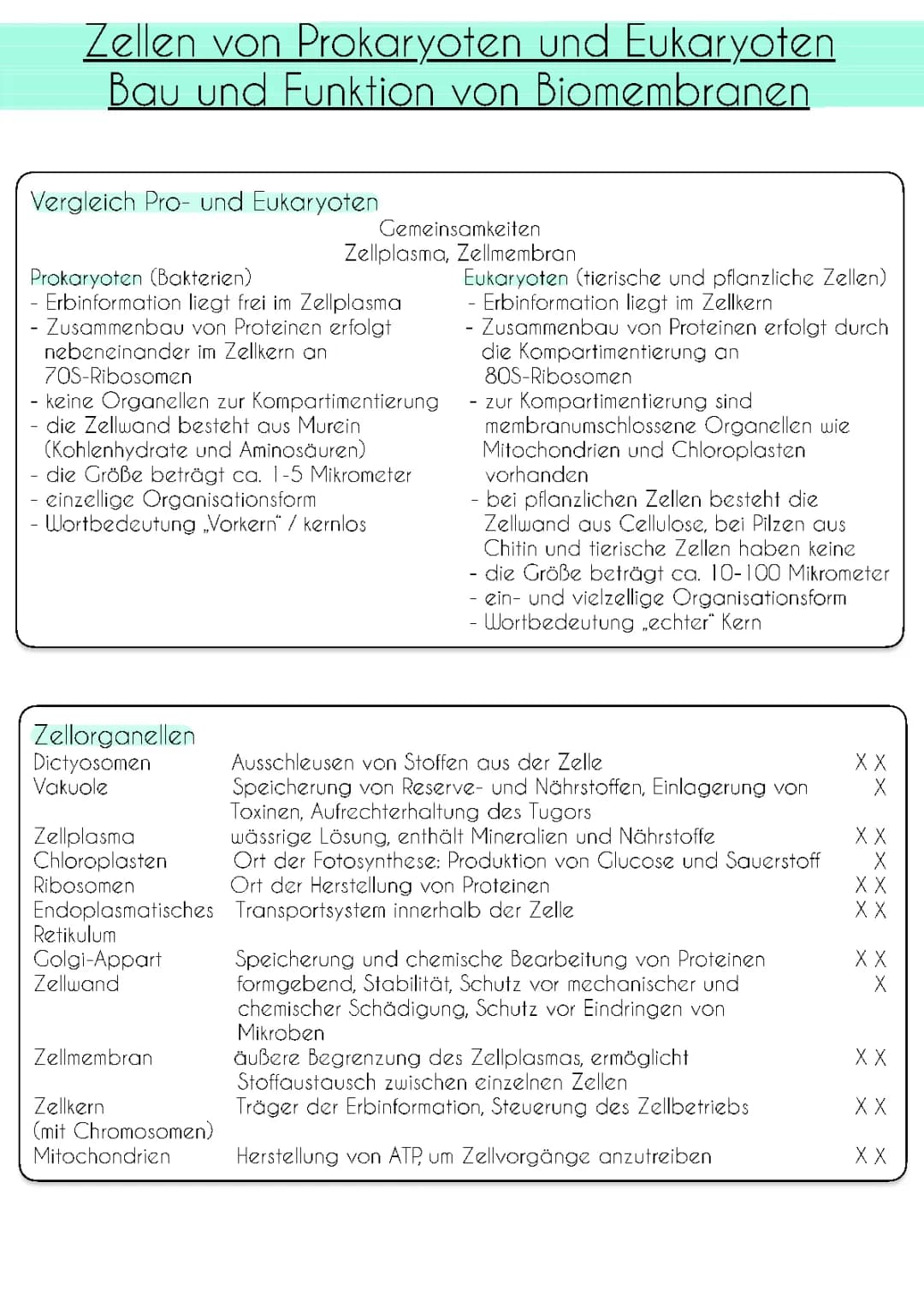 Zellen von Prokaryoten und Eukaryoten / Bau und Funktion von Biomembranen 