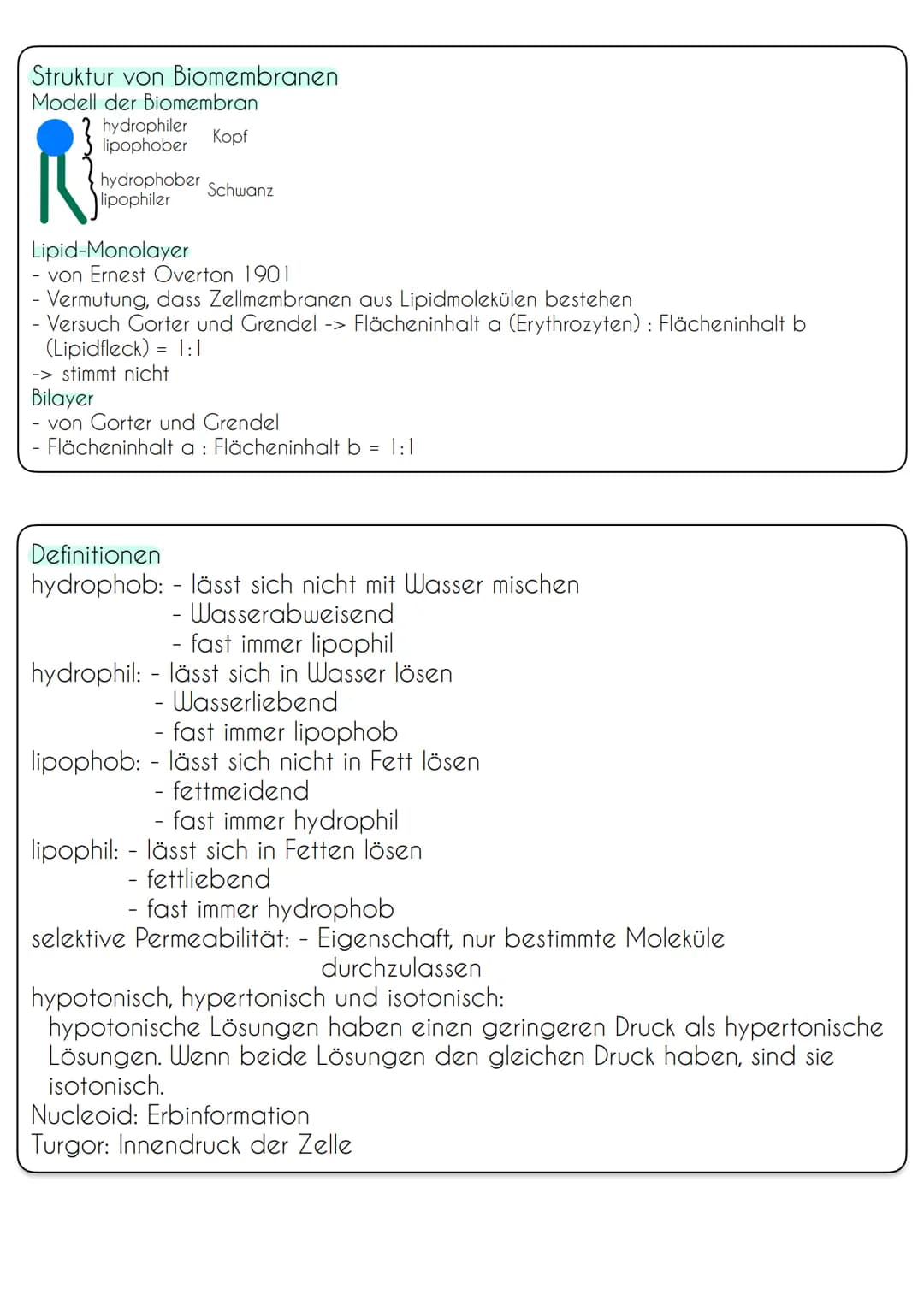 Zellen von Prokaryoten und Eukaryoten
Bau und Funktion von Biomembranen
Vergleich Pro- und Eukaryoten
Prokaryoten (Bakterien)
Erbinformation