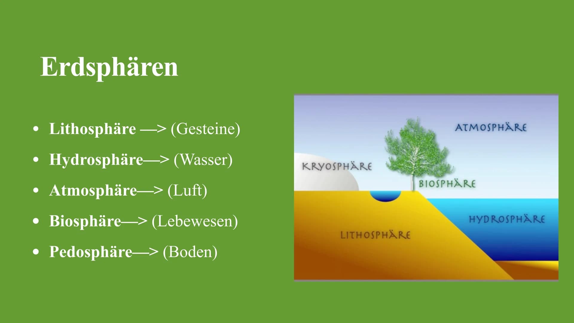 Kohlenstoffkreislauf
Die Besonderheiten des Kreislaufes im Wald Kohlenstoffkreislauf Definition
Der Kohlenstoffkreislauf, auch Kohlenstoffzy