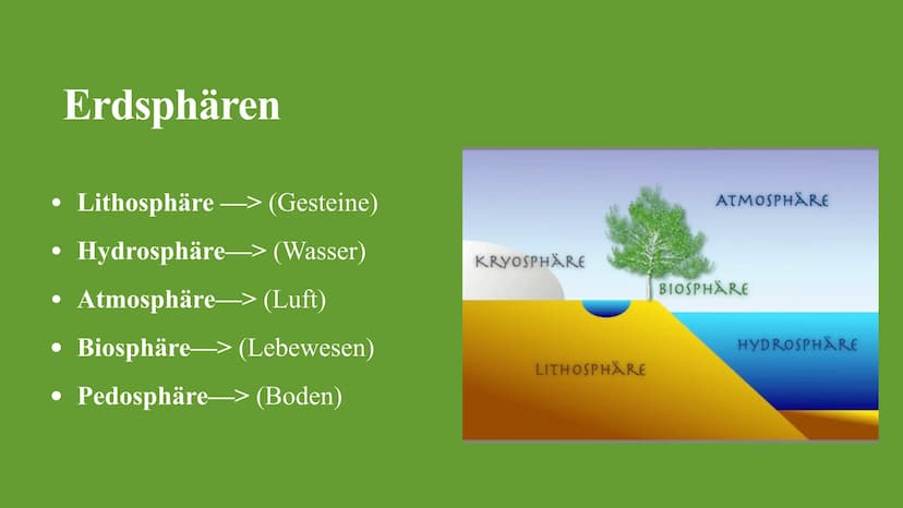 Kohlenstoffkreislauf
Die Besonderheiten des Kreislaufes im Wald Kohlenstoffkreislauf Definition
Der Kohlenstoffkreislauf, auch Kohlenstoffzy