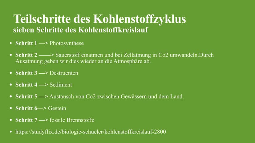 Kohlenstoffkreislauf
Die Besonderheiten des Kreislaufes im Wald Kohlenstoffkreislauf Definition
Der Kohlenstoffkreislauf, auch Kohlenstoffzy