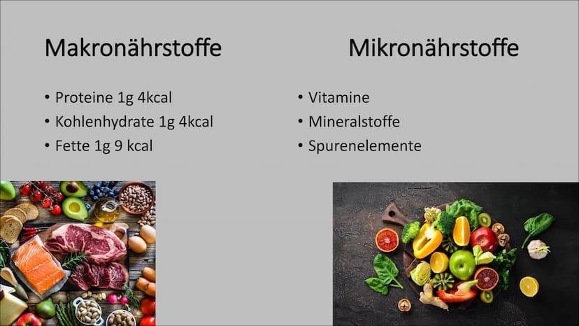 Bodybuilding- Ernährung im Kraftsport
Wieso ist die Ernährung im Kraftsport wichtig?
→ Ziel: Muskelaufbau
Lebensmittel liefern dem Körper En