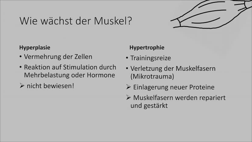 Bodybuilding- Ernährung im Kraftsport
Wieso ist die Ernährung im Kraftsport wichtig?
→ Ziel: Muskelaufbau
Lebensmittel liefern dem Körper En