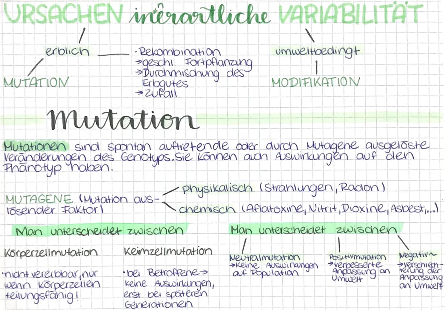 GENETIK-Vererbungslehre
Die Genetik beschreibt die Gesetze der Vererbung. Sie untersucht die
Enbanlagen, ihre Struktur, Speicherung, vermehr
