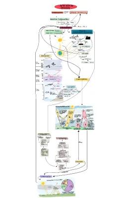 Know Auf den Spuren des Klimawandels (concept map) thumbnail