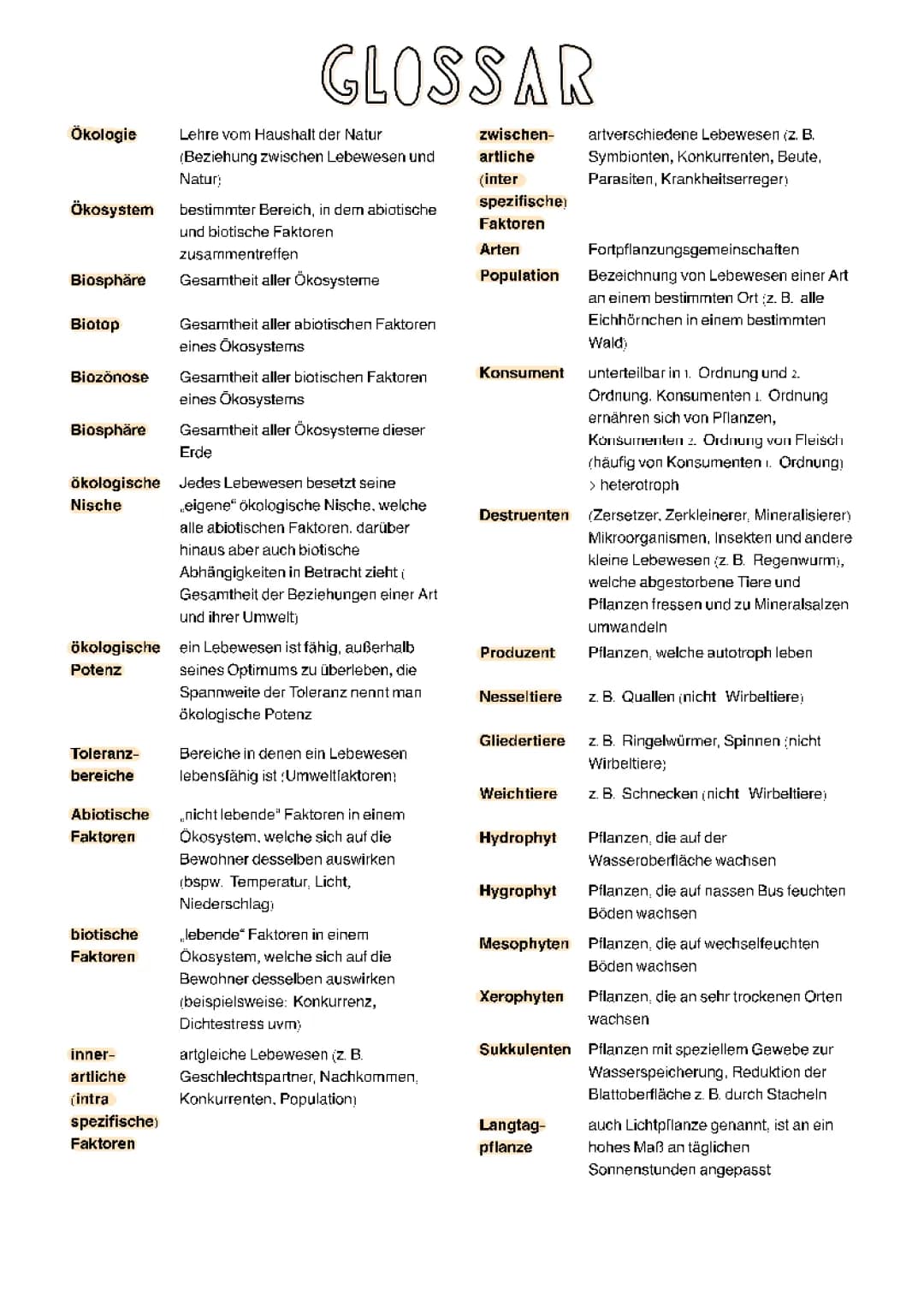 Glossar