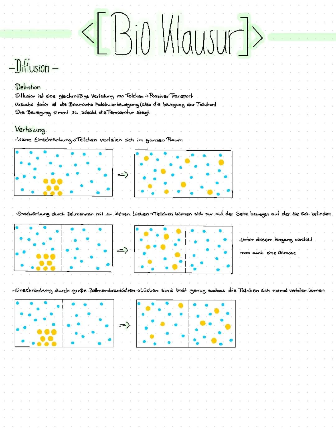 Diffusion und Osmose Biologie 