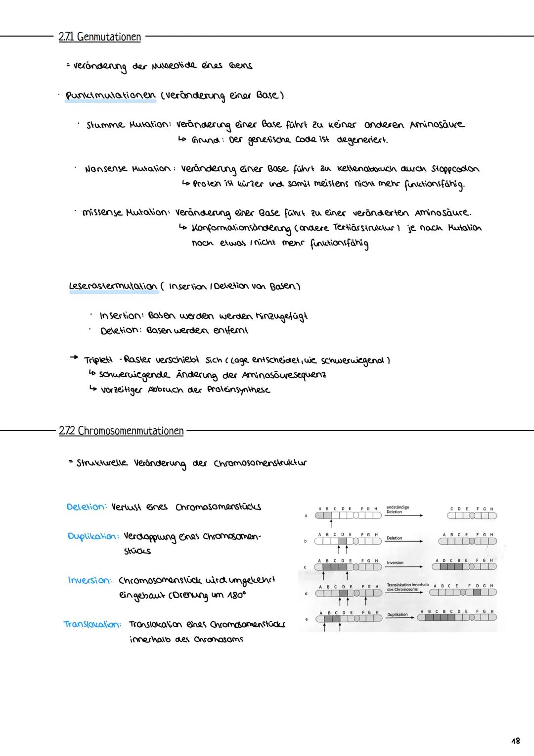 2.3 Zellzyklus
2.3.1 Der Zellzyklus
G₂-Phase:
Genetik
Proteinbiosynthese
• Vorbereitung auf
die Mitose
• 202c
S-Phase:
ONA-Replikation
Anfan