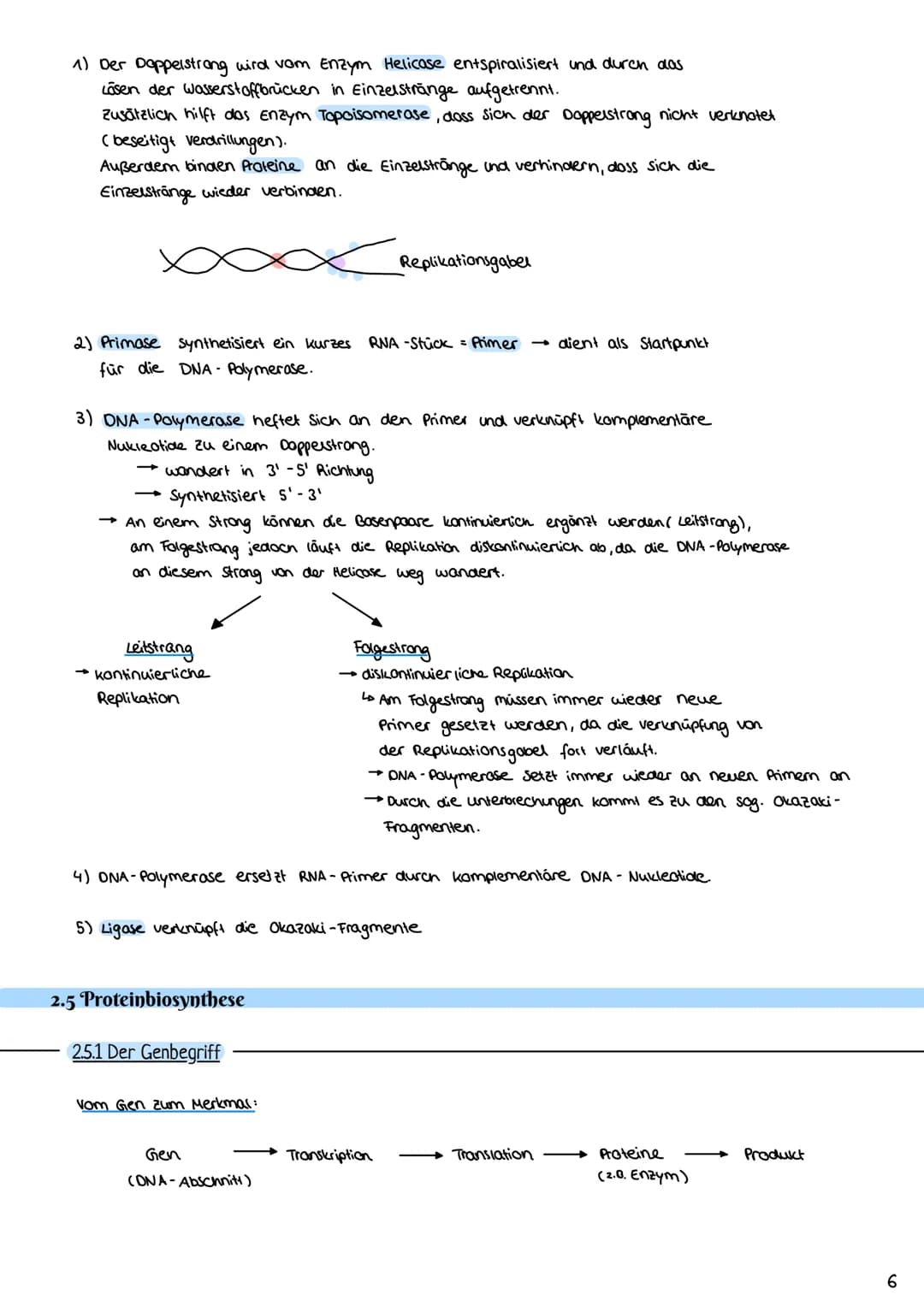 2.3 Zellzyklus
2.3.1 Der Zellzyklus
G₂-Phase:
Genetik
Proteinbiosynthese
• Vorbereitung auf
die Mitose
• 202c
S-Phase:
ONA-Replikation
Anfan