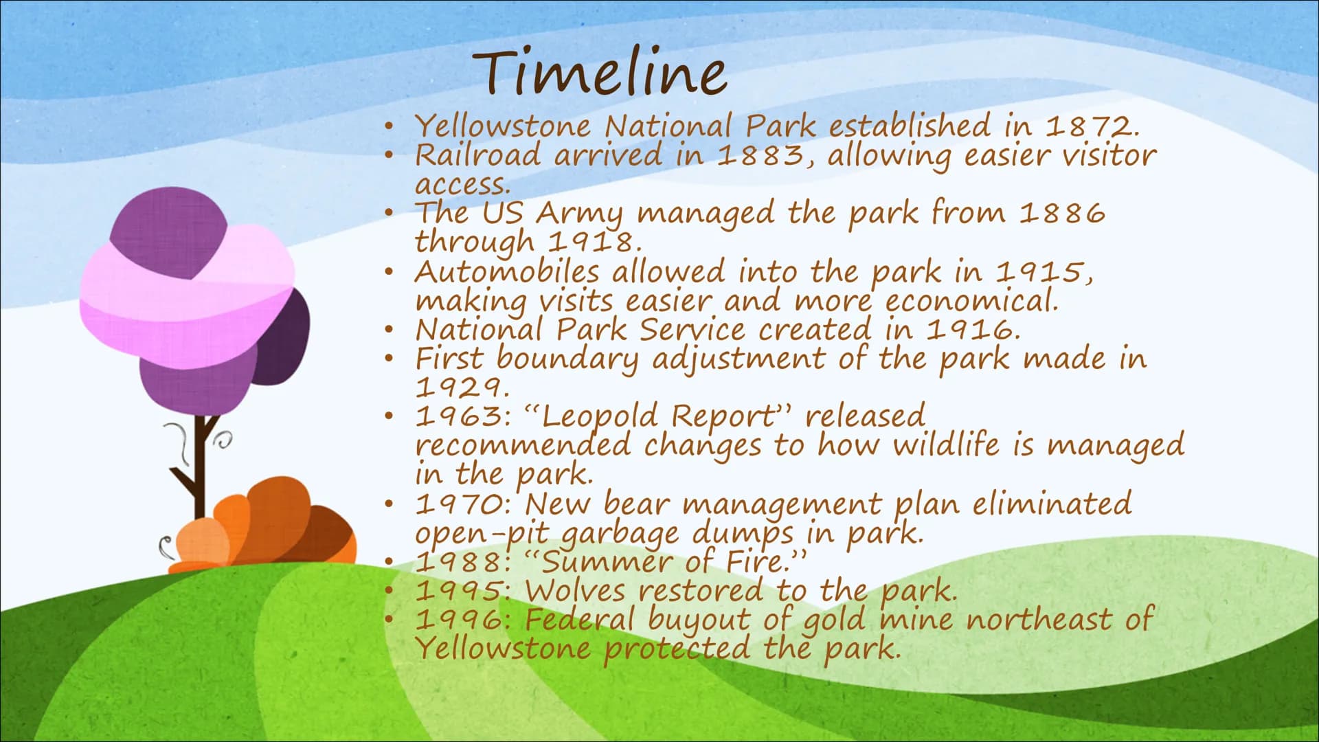 Your Guide to Yellowstone & Grand Teton: Best Time to Visit, Fun Activities, and Camping Tips!