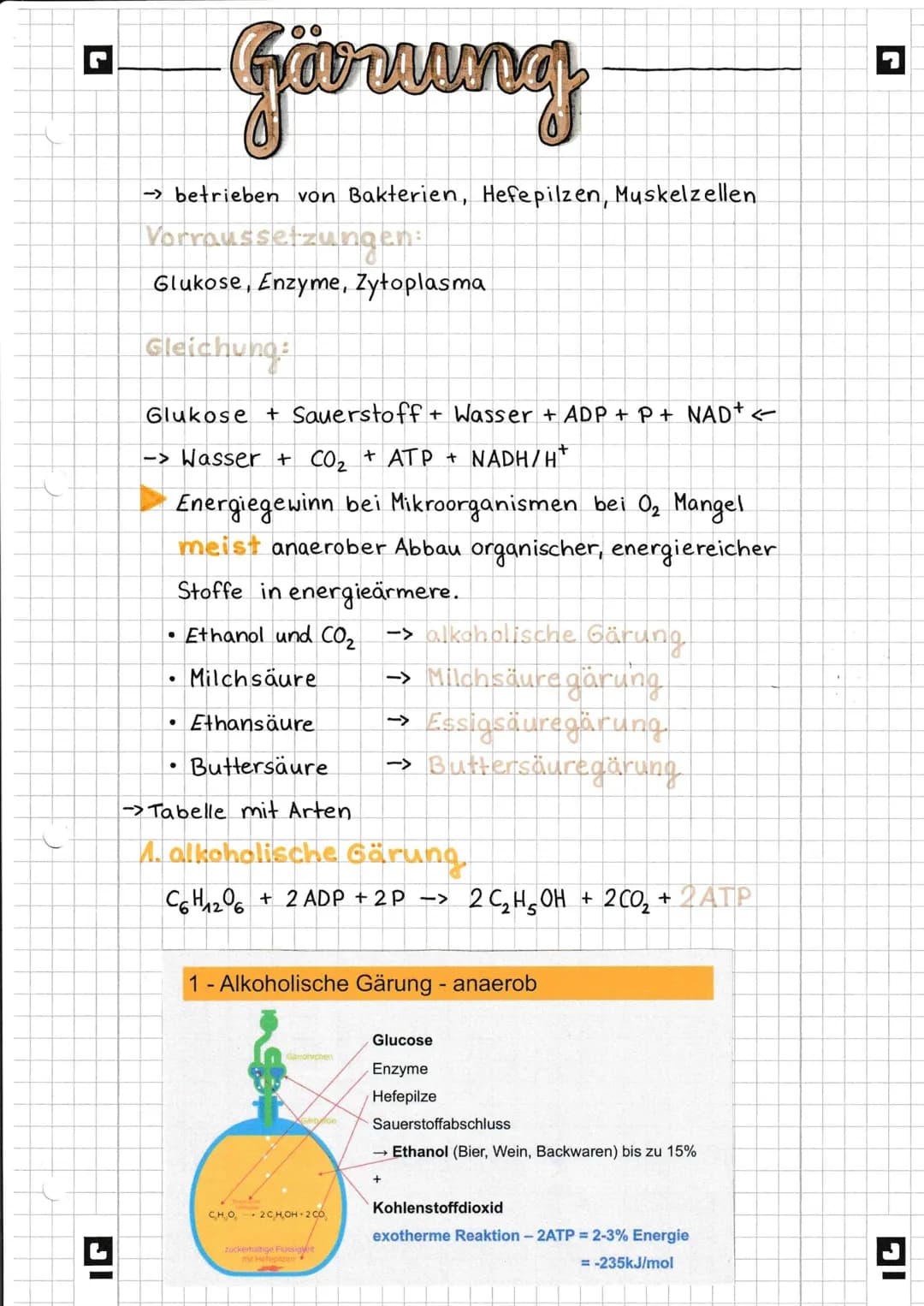 G
IGI
Almung
Gärung
im Vergleich
Gemeinsamkeiten
Unterschiede:
Reaktionsort
Bruttogleichung
203
↓
Verlaufsschritte
Atmung
aerob
↓
H,O, CO2,
