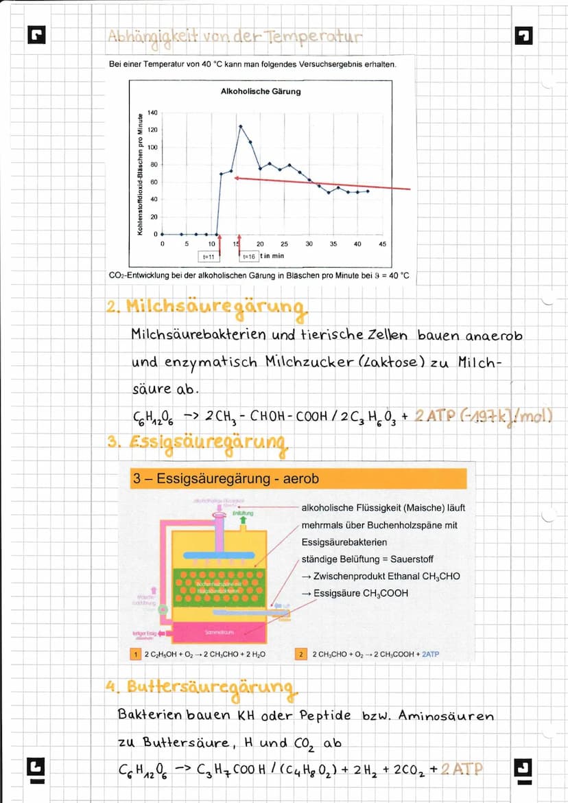 G
IGI
Almung
Gärung
im Vergleich
Gemeinsamkeiten
Unterschiede:
Reaktionsort
Bruttogleichung
203
↓
Verlaufsschritte
Atmung
aerob
↓
H,O, CO2,
