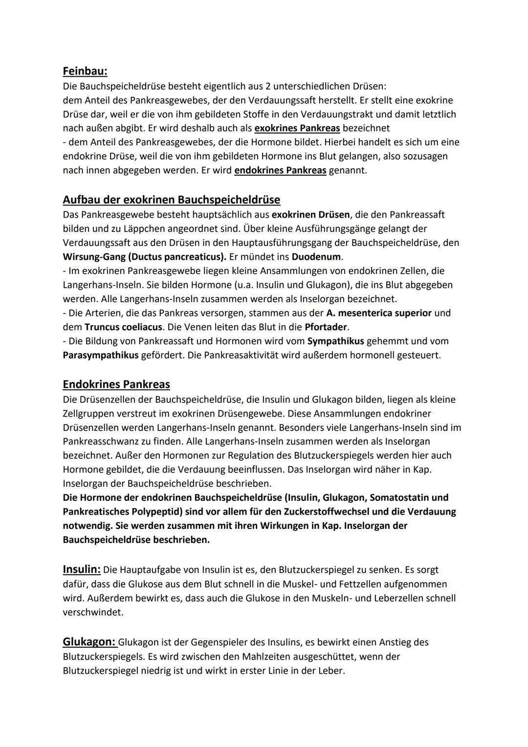 BAUCHSPEICHELDRÜSE (PANKREAS)
Kleine und
große
GALLENBLASE
Mündungsstelle
im Zwölf-
fingerdarm
ZWÖLFFINGERDARM
Hauptgang der
Bauchspeicheldr