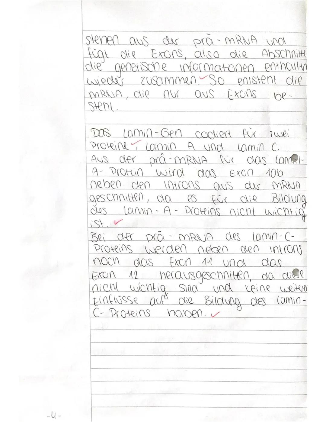 Aufgabe 1:
A
B
C-
D-
E
-
Bio Klausur
Diese
die
Bei der abgebildeten Phase der
Protein biosynthese wird
Translation gezeigt
Bei der
-zuerst d