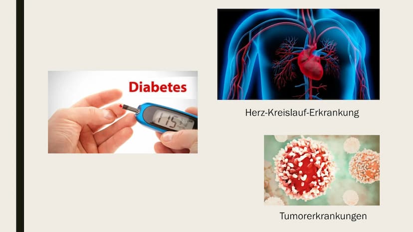 Ernährungswissenschaften Studium:
Einleitung
Durch eine einseitige oder falsche Ernährung können Krankheiten wie Diabetes, Herz-Kreislauf-
E
