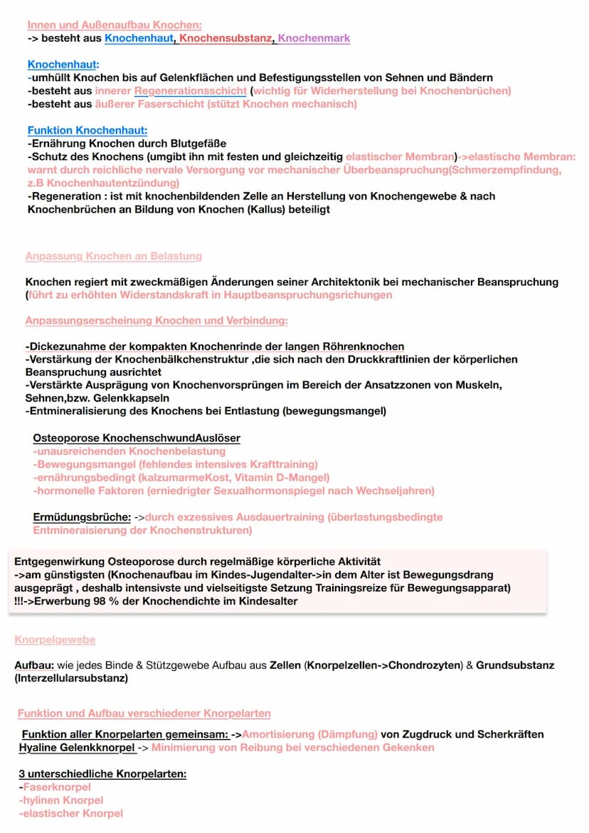 Jede körperliche Aktivität beansprucht den Bewegungsapparat und damit das Skelettsystem und die
Skelettmuskulatur
Knochengewebe
Gewebearten 