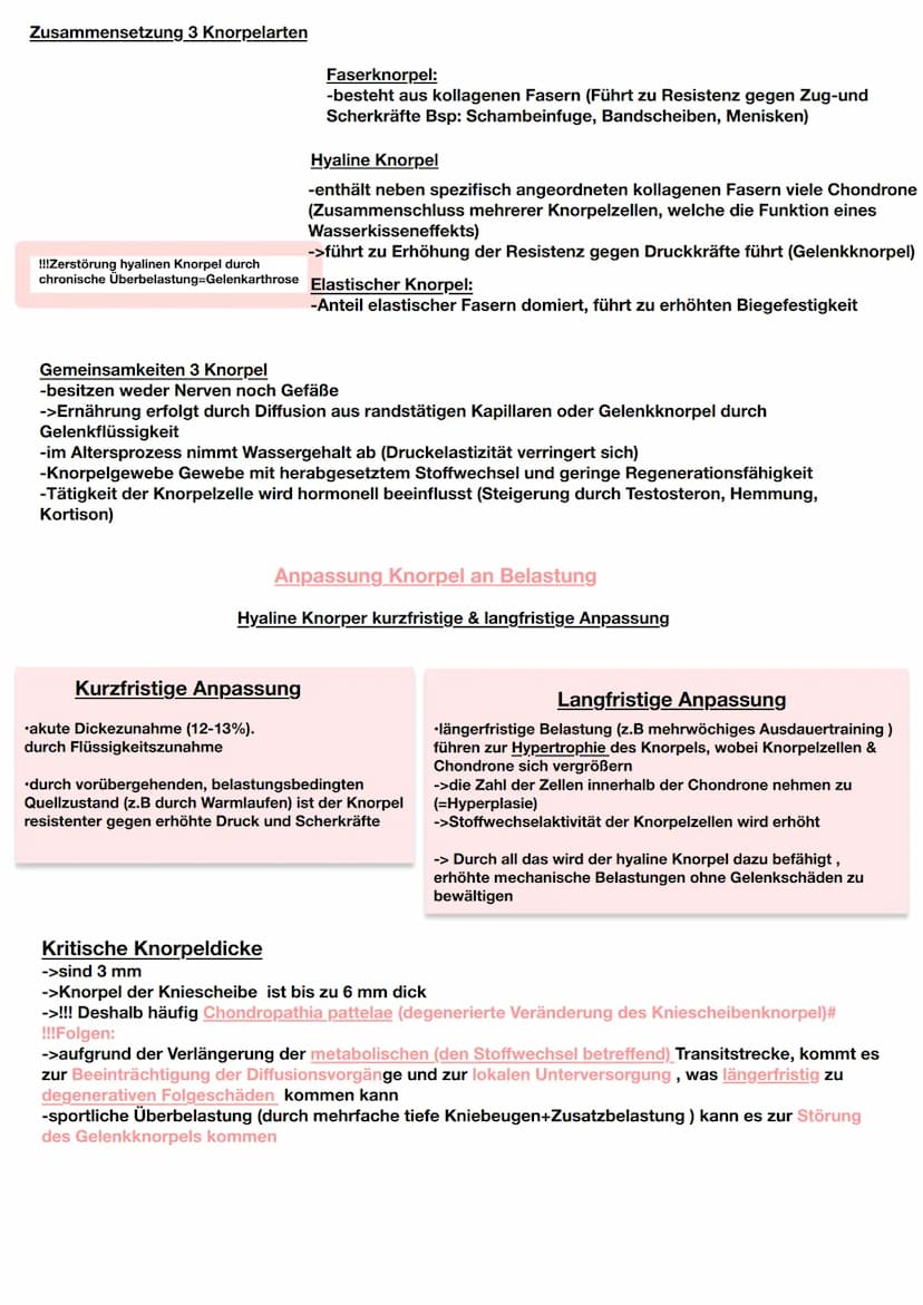 Jede körperliche Aktivität beansprucht den Bewegungsapparat und damit das Skelettsystem und die
Skelettmuskulatur
Knochengewebe
Gewebearten 
