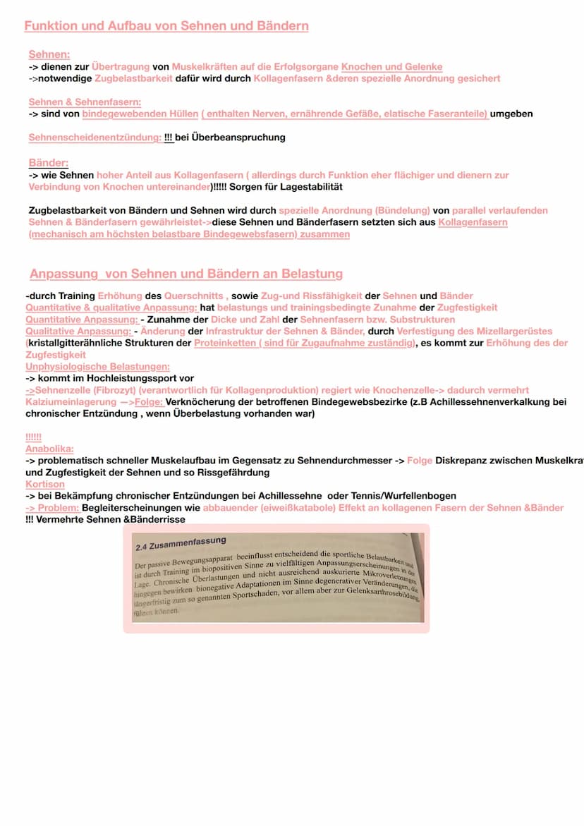 Jede körperliche Aktivität beansprucht den Bewegungsapparat und damit das Skelettsystem und die
Skelettmuskulatur
Knochengewebe
Gewebearten 