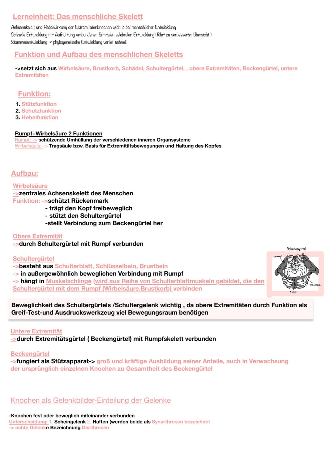 Jede körperliche Aktivität beansprucht den Bewegungsapparat und damit das Skelettsystem und die
Skelettmuskulatur
Knochengewebe
Gewebearten 