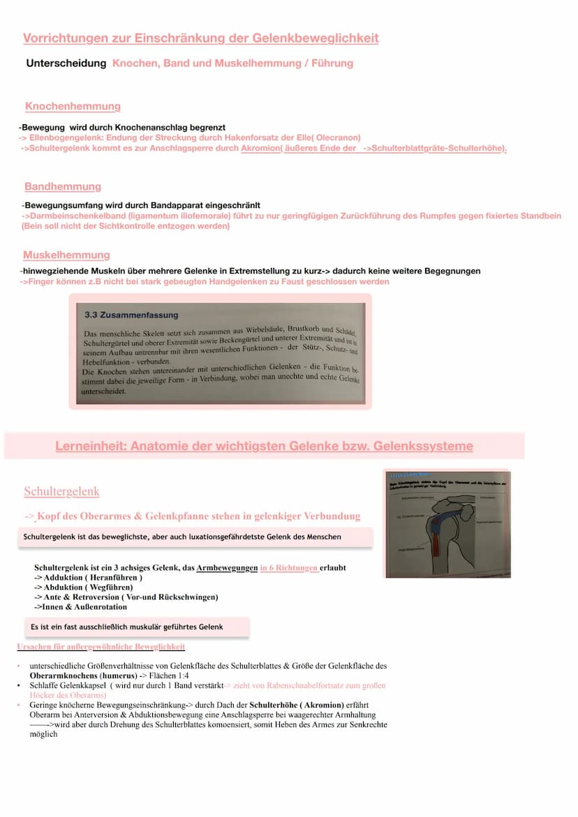 Jede körperliche Aktivität beansprucht den Bewegungsapparat und damit das Skelettsystem und die
Skelettmuskulatur
Knochengewebe
Gewebearten 