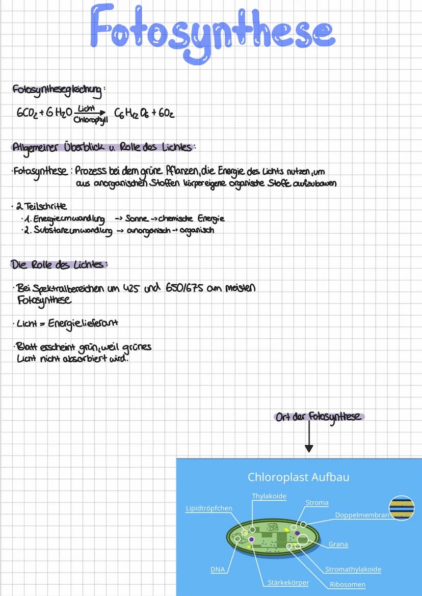 Biotische Faktoren
Definition
Gehen von lebenden Organismen aus, 2.B. Feinden, Artgenossen, Parasiten; belebte Einflusse auf einen
Organismu