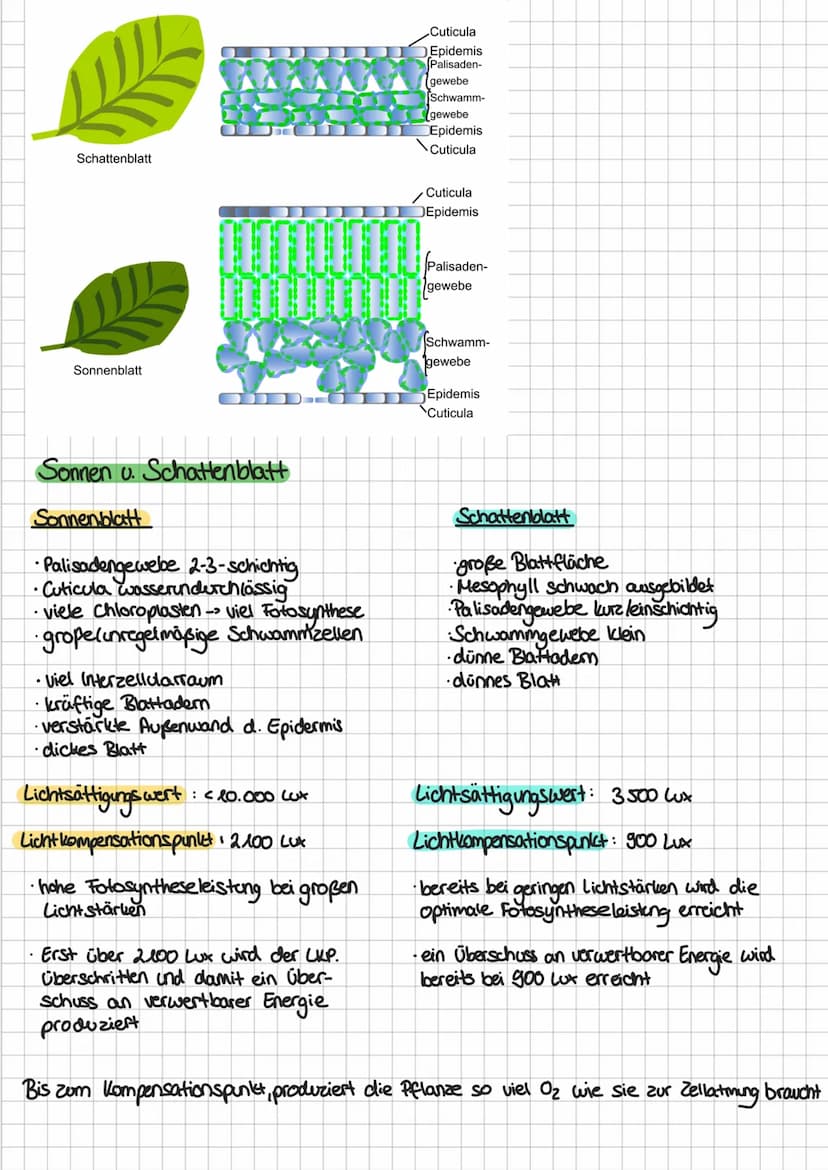 Biotische Faktoren
Definition
Gehen von lebenden Organismen aus, 2.B. Feinden, Artgenossen, Parasiten; belebte Einflusse auf einen
Organismu