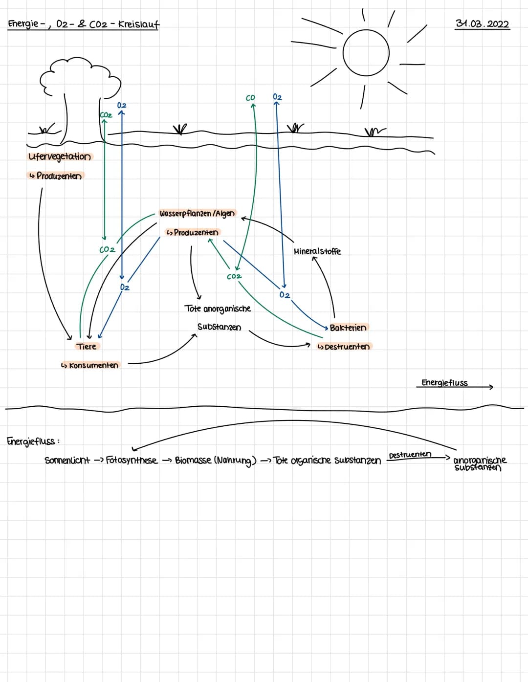Biotische Faktoren
Definition
Gehen von lebenden Organismen aus, 2.B. Feinden, Artgenossen, Parasiten; belebte Einflusse auf einen
Organismu
