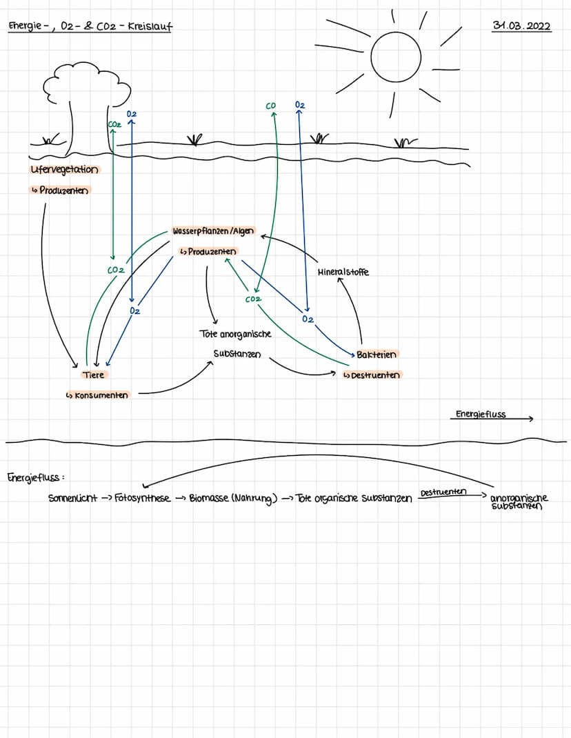 Biotische Faktoren
Definition
Gehen von lebenden Organismen aus, 2.B. Feinden, Artgenossen, Parasiten; belebte Einflusse auf einen
Organismu