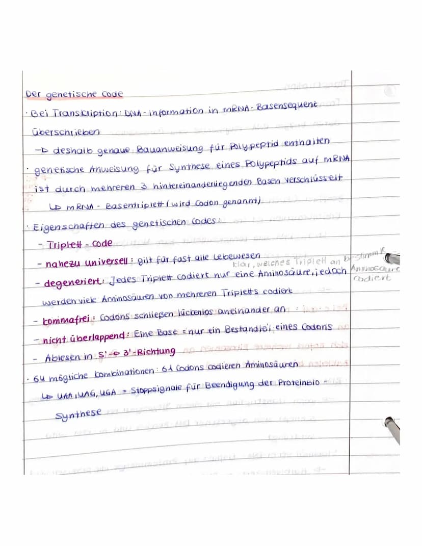 Transcription
• Transcription
.
1002902, its123 27.10.20
=
Bildung einer kopie des entsprechenden Gens
durch Enzym RNA - Polymerase wird Tra