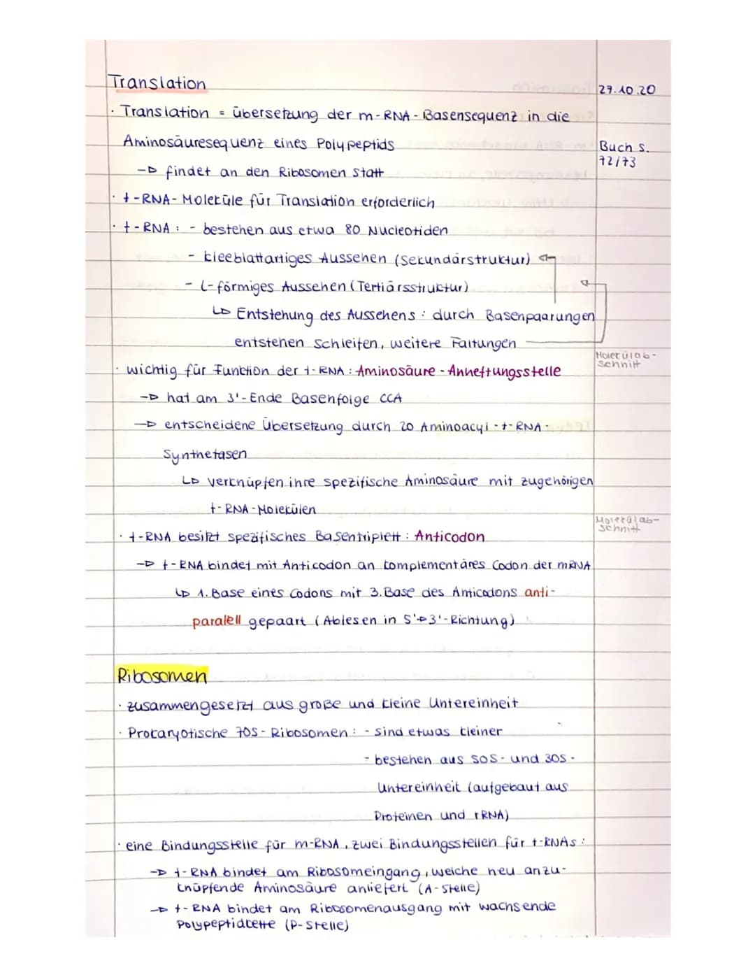 Transcription
• Transcription
.
1002902, its123 27.10.20
=
Bildung einer kopie des entsprechenden Gens
durch Enzym RNA - Polymerase wird Tra