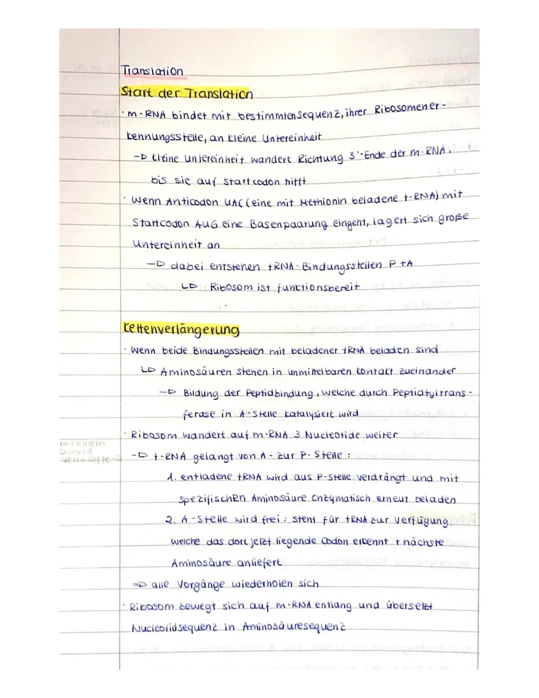 Transcription
• Transcription
.
1002902, its123 27.10.20
=
Bildung einer kopie des entsprechenden Gens
durch Enzym RNA - Polymerase wird Tra
