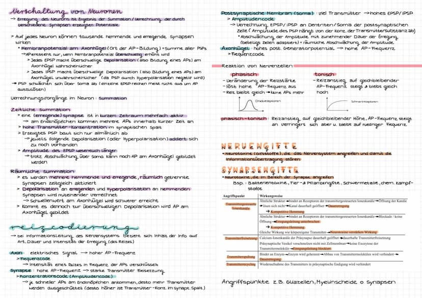 Reiz
Reiz
Sinnesorgan
Afferente
(sensorische)
Nerven
ZNS: Gehirn+
Rückenmark
Efferente
(motorische
Nerven
↓
Effektor:
zielorgan
Reaktion:
Ne