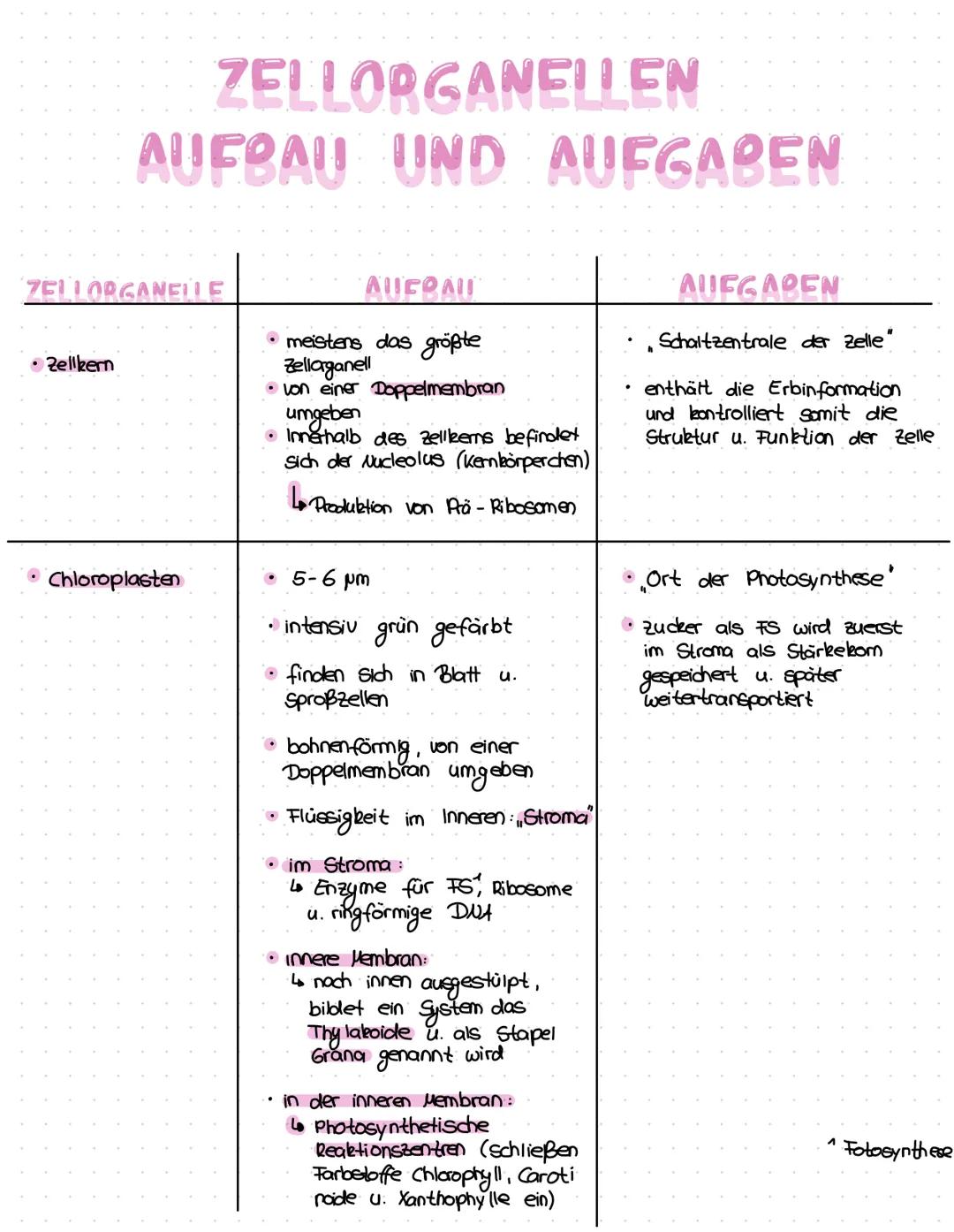 # ZELLORGANELLEN
## AUFBAU UND AUFGABEN

ZELLODGANCILE

• Zellkern

• Chloroplasten

ΛΙΙΕΟΛΙΙ

• meistens das größte
Zellarganell

• von ein