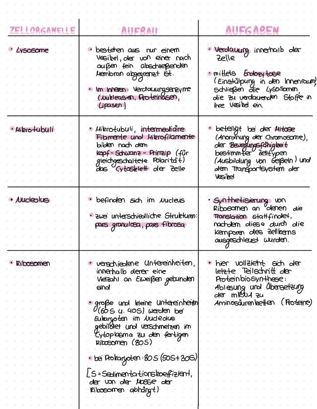 # ZELLORGANELLEN
## AUFBAU UND AUFGABEN

ZELLODGANCILE

• Zellkern

• Chloroplasten

ΛΙΙΕΟΛΙΙ

• meistens das größte
Zellarganell

• von ein