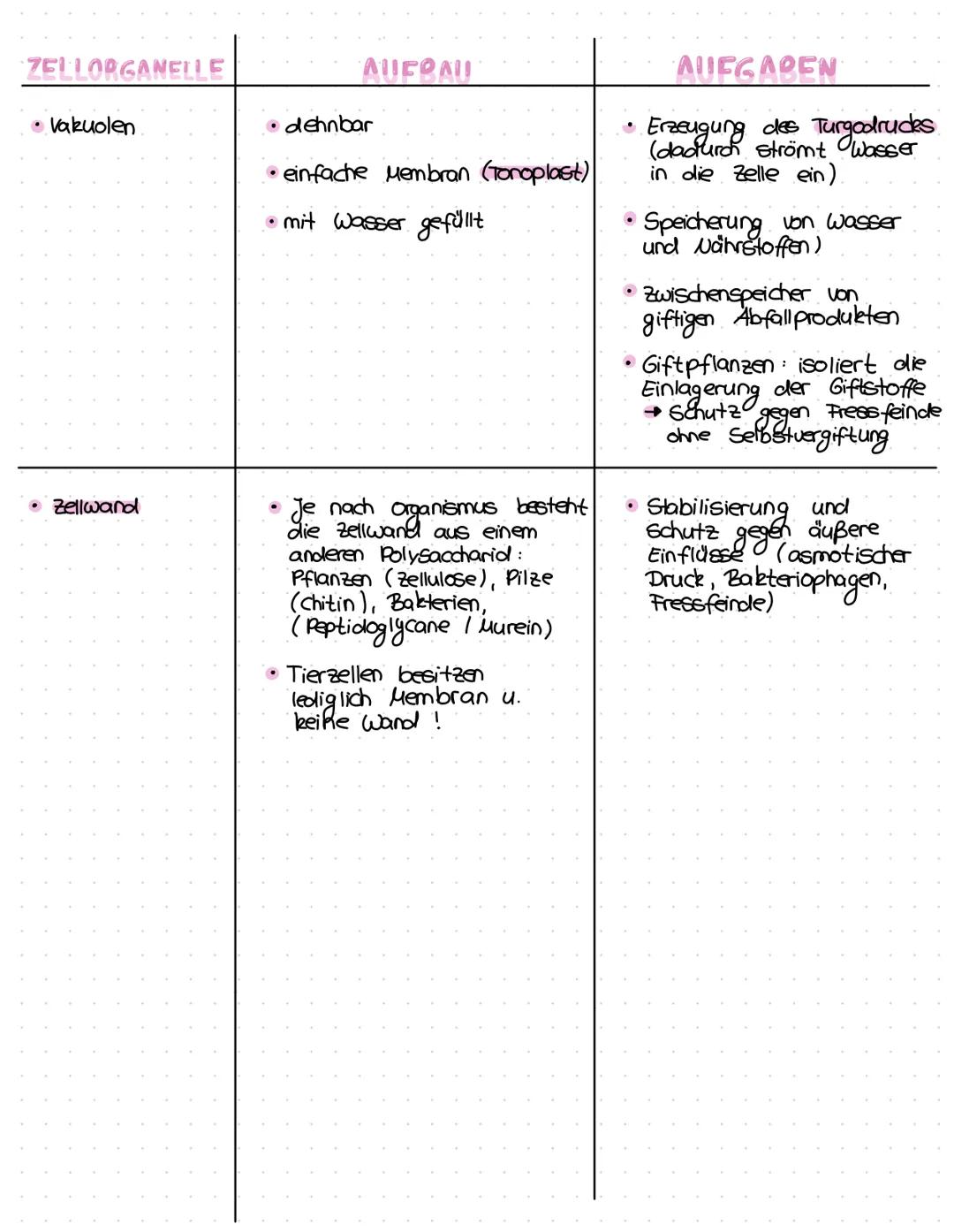 # ZELLORGANELLEN
## AUFBAU UND AUFGABEN

ZELLODGANCILE

• Zellkern

• Chloroplasten

ΛΙΙΕΟΛΙΙ

• meistens das größte
Zellarganell

• von ein