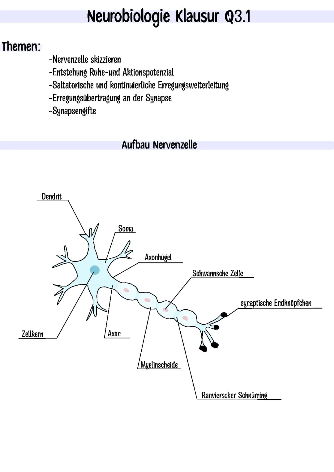 Neurobiologie 