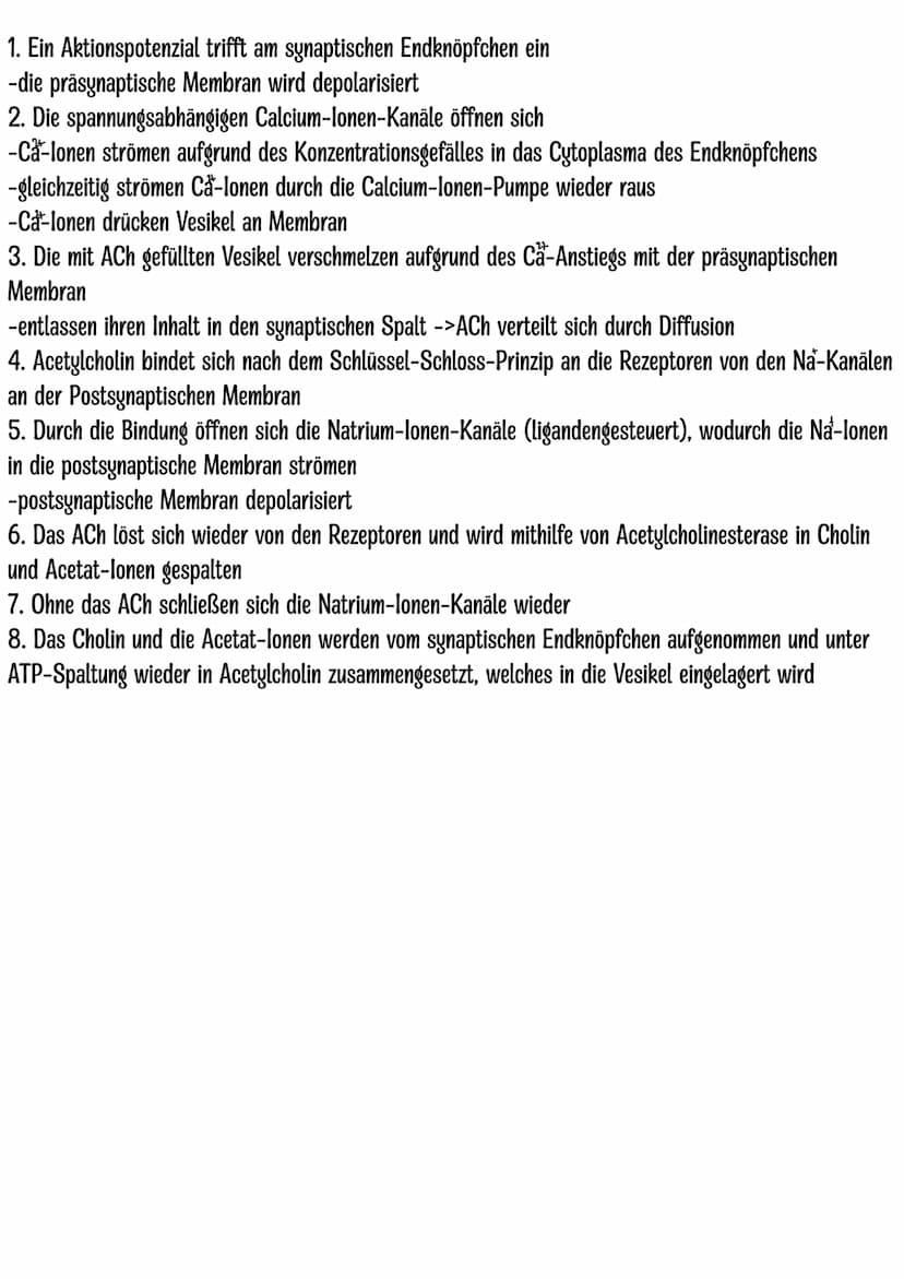 Themen:
Dendrit
Zellkern
Neurobiologie Klausur Q3.1
-Nervenzelle skizzieren
-Entstehung Ruhe-und Aktionspotenzial
-Saltatorische und kontinu