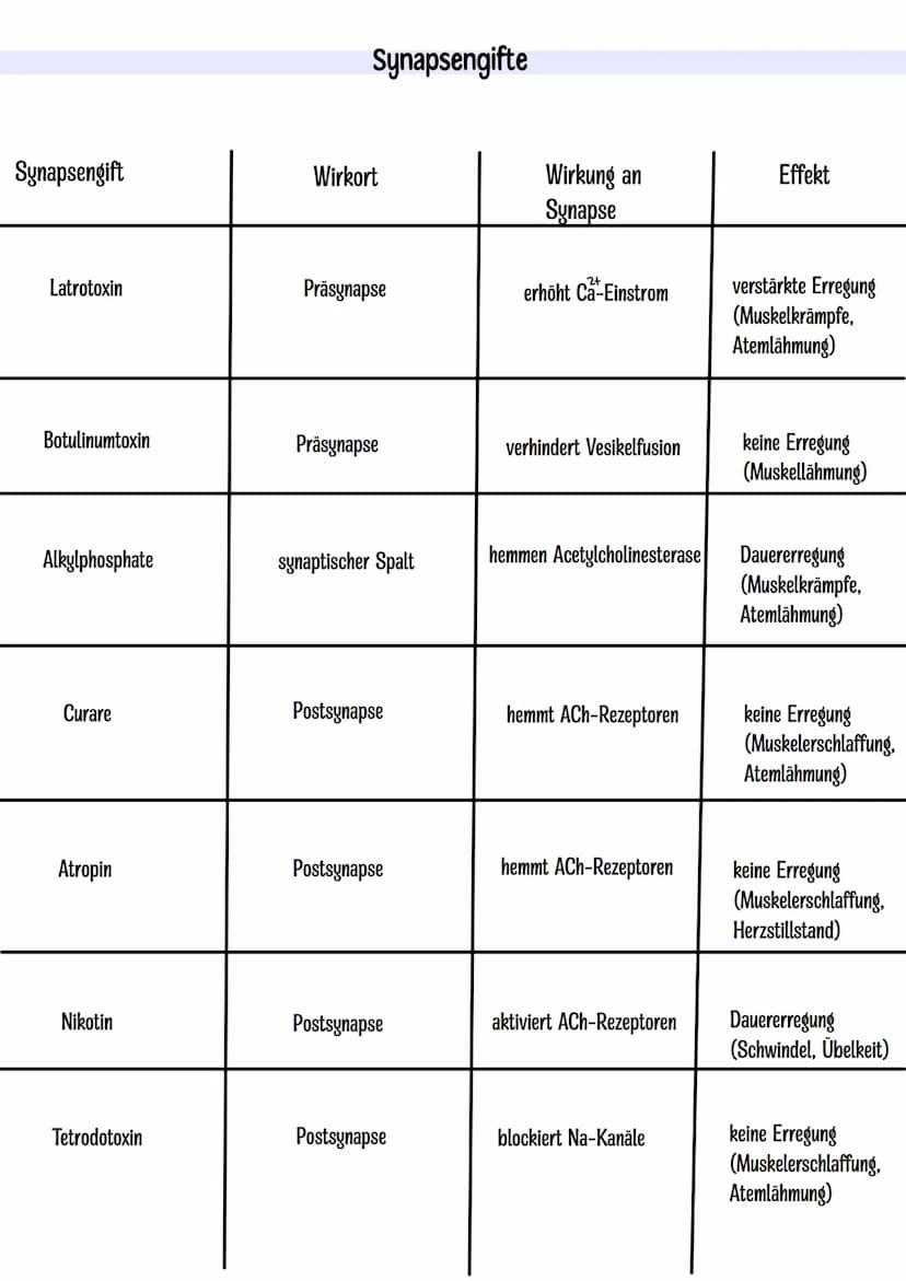 Themen:
Dendrit
Zellkern
Neurobiologie Klausur Q3.1
-Nervenzelle skizzieren
-Entstehung Ruhe-und Aktionspotenzial
-Saltatorische und kontinu
